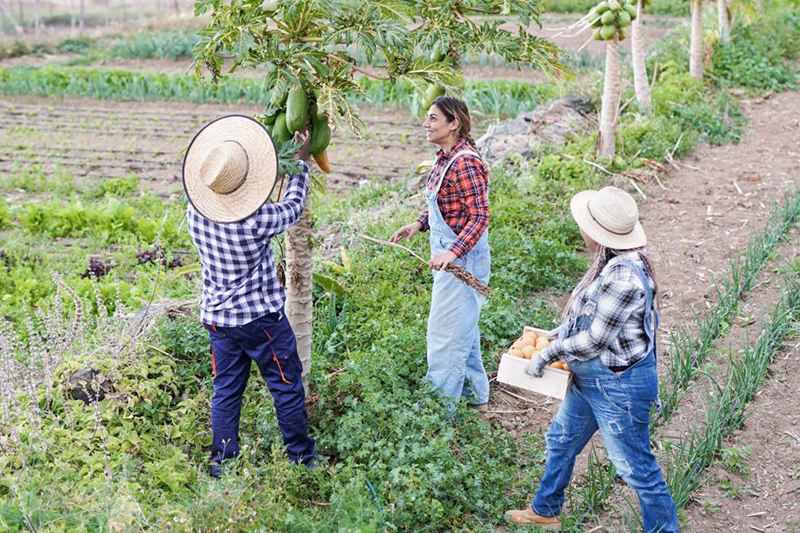 Carlos César Floriano apresenta edital para Assistência Técnica da Agricultura Familiar