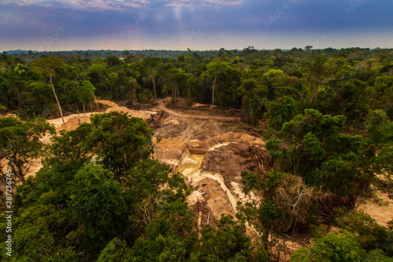 Amazônia