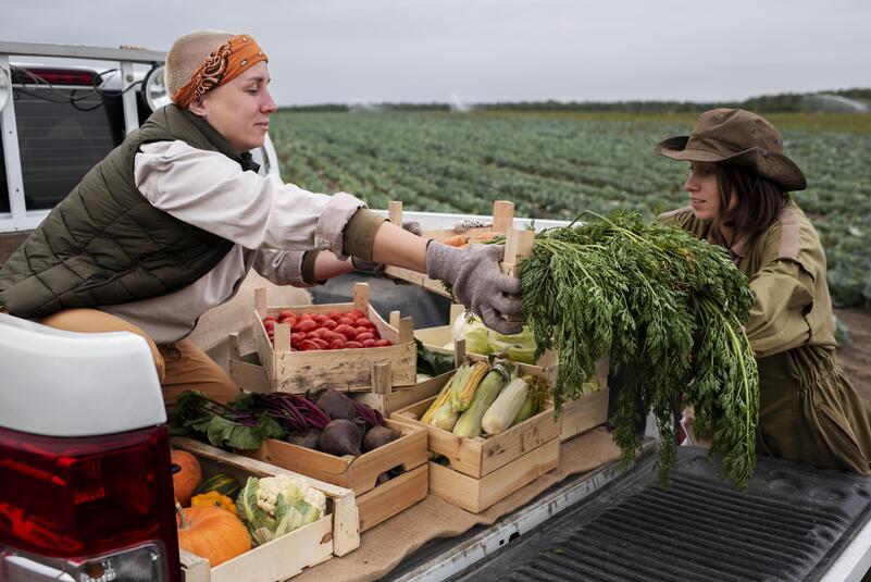 Mercados e Exportação de Produtos Agrícolas: Tendências e Oportunidades