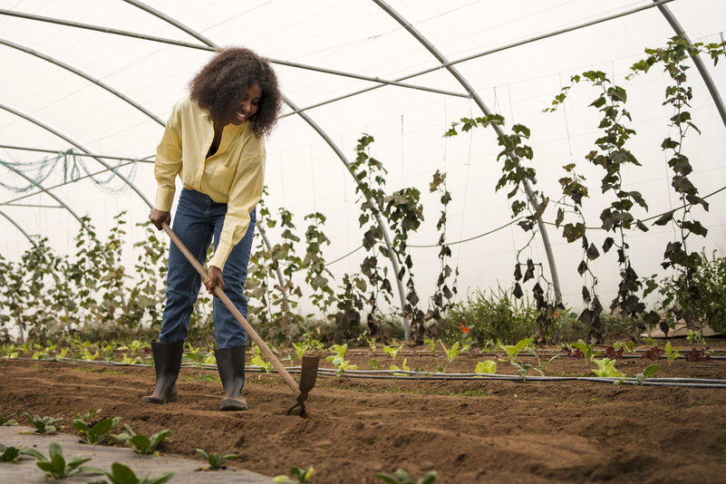 Sustentabilidade e Práticas de Agricultura Regenerativa: O Futuro da Agricultura Sustentável